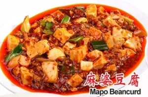 Mapo Beancurd 麻婆豆腐