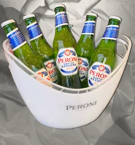 Beer Bucket (5 bottles of Italian beer)