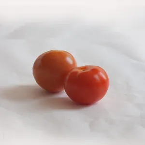 14.Tomato 番茄