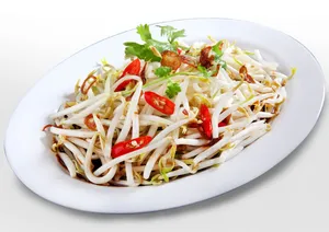 Oyster Sauce Beansprout 油芽菜