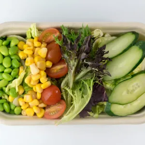 Veggie Salad 蔬菜沙拉